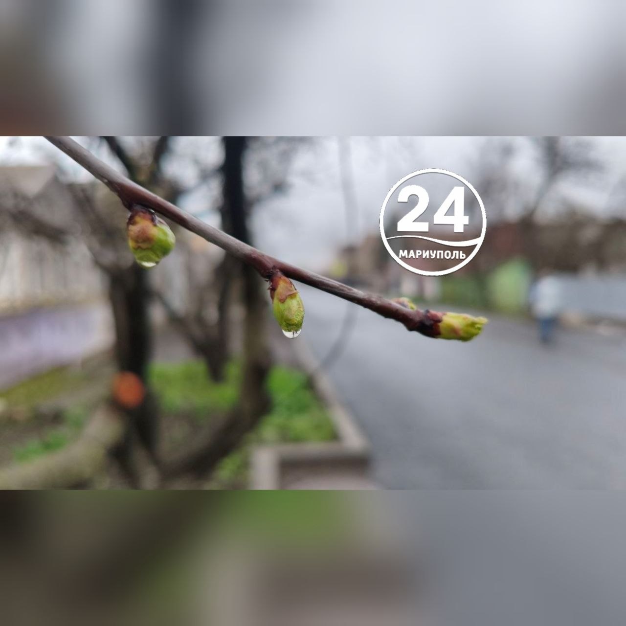 Мариуполь встречает апрель! Мариуполь встречает апрель!