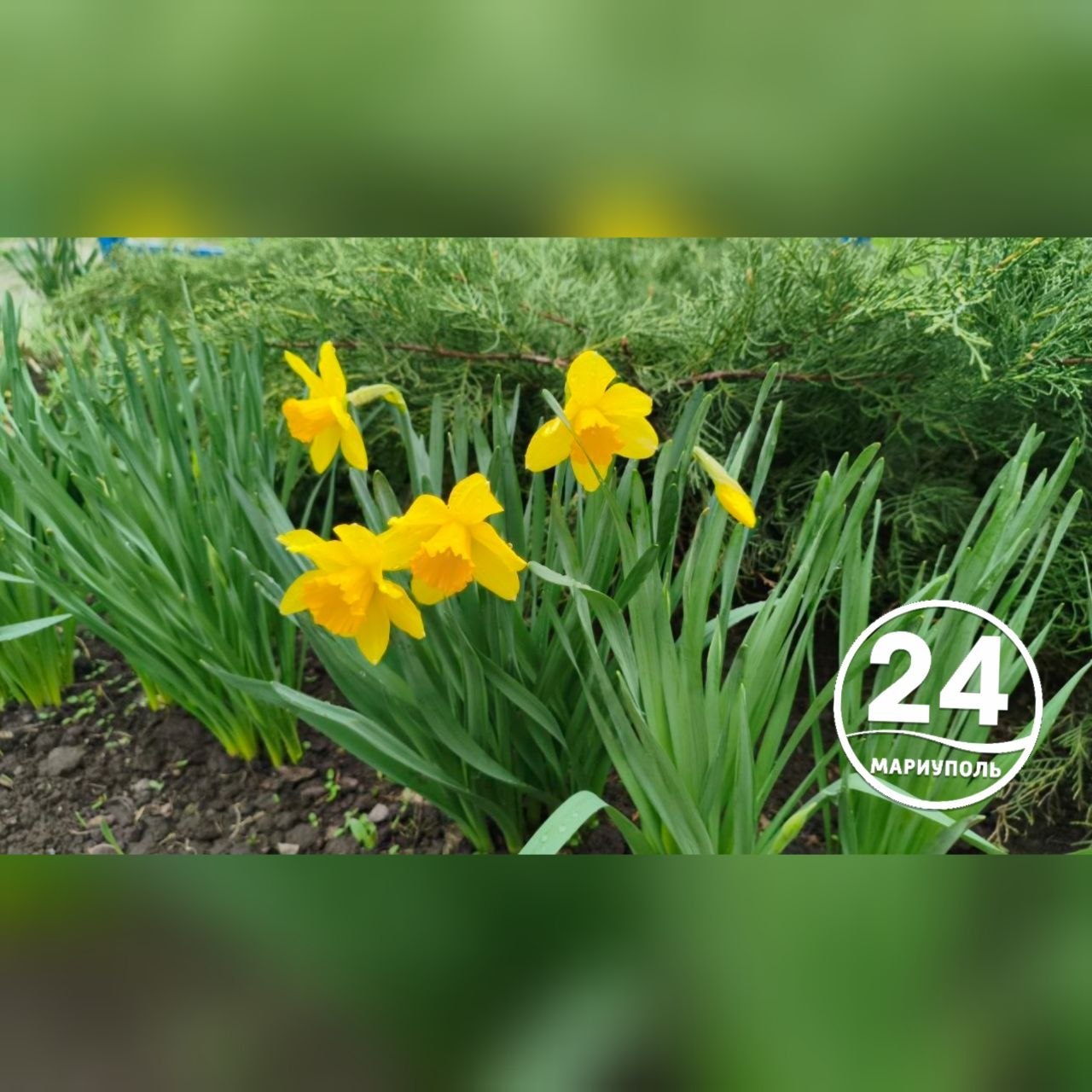 Мариуполь встречает апрель!