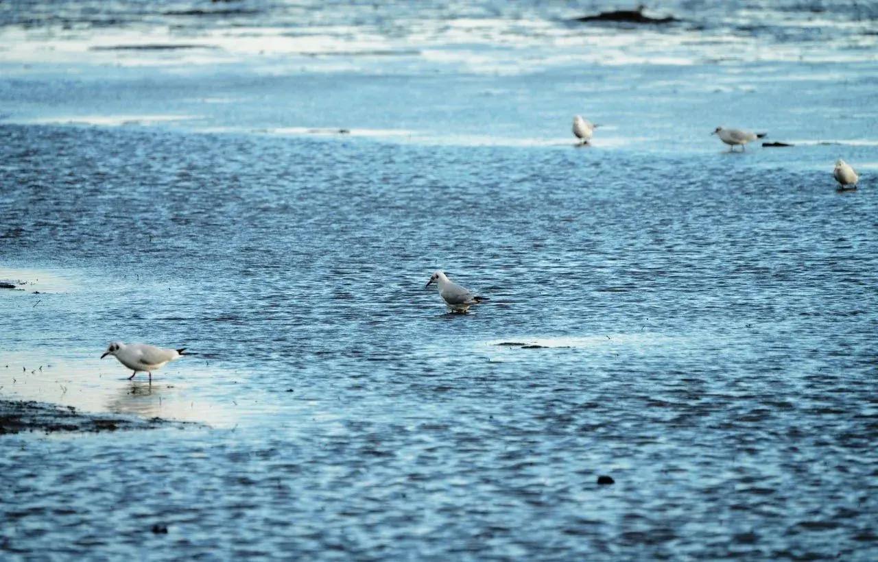 Мариупольские Бакаи. Название этого места происходит от аббревиатуры БКИ - «Большой Карьерный Интеграт» Мариупольские Бакаи. Название этого места происходит от аббревиатуры БКИ - «Большой Карьерный Интеграт»