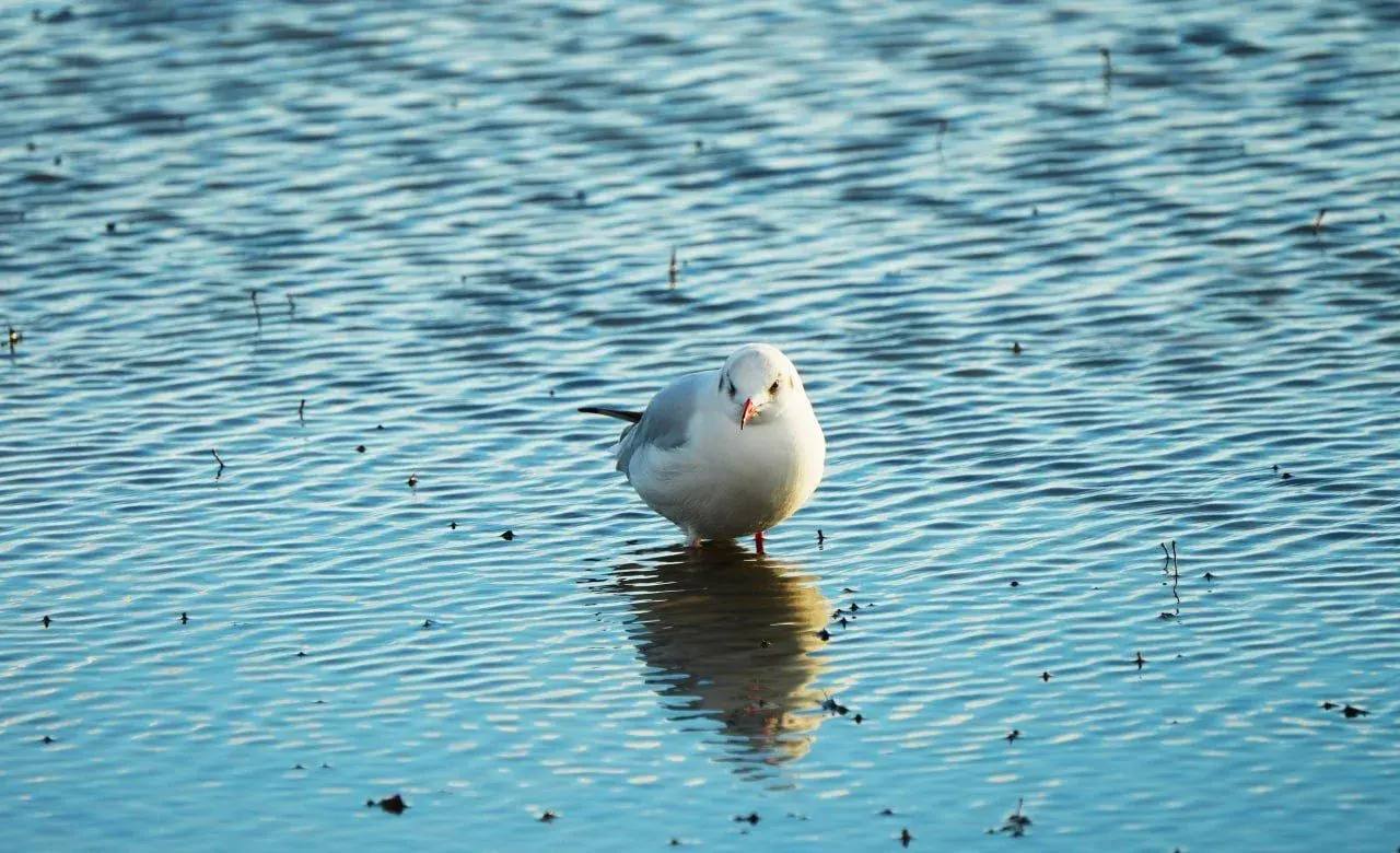 Мариупольские Бакаи. Название этого места происходит от аббревиатуры БКИ - «Большой Карьерный Интеграт»