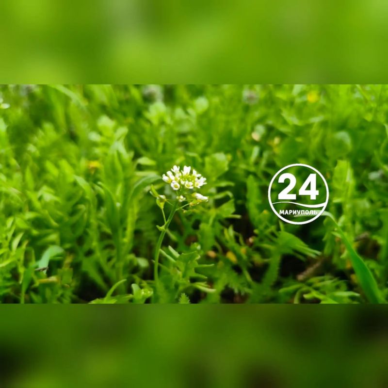 � ��������� ��������� ������������ ������� �����