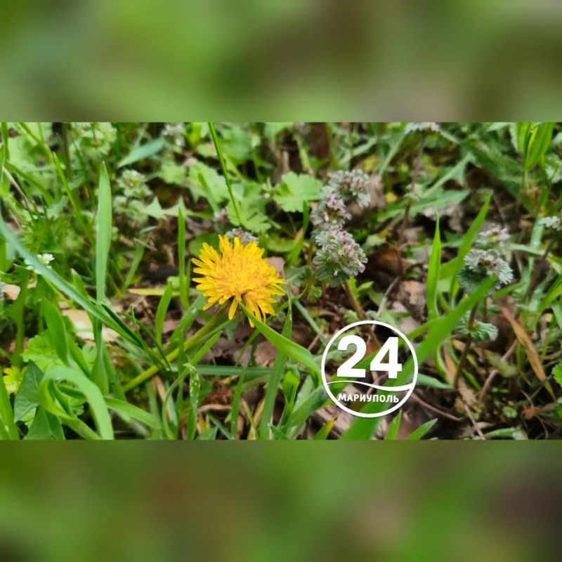 � ��������� ��������� ������������ ������� �����