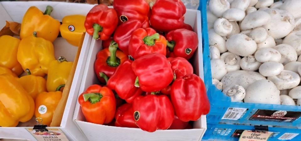 Универсальная ярмарка в городе Мариуполь Универсальная ярмарка в городе Мариуполь