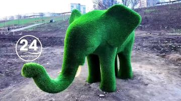 Весенняя симфония в городе на Азовском море