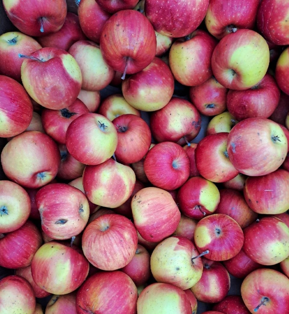 Универсальная ярмарка в городе Мариуполь Универсальная ярмарка в городе Мариуполь