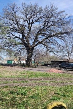 ���� �� ����������: �������� ������� �������� �� ����������� � �������� ��� �� 8 ������ 2026 ����