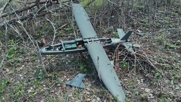 Сбитый МОГами ФСБ дрон "Hornet"