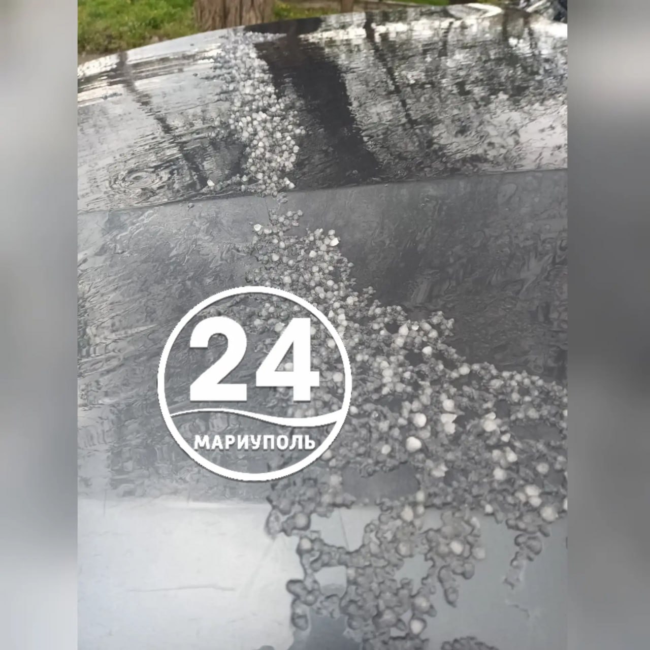 Выпавший в Мариуполе град побил цветы Выпавший в Мариуполе град побил цветы