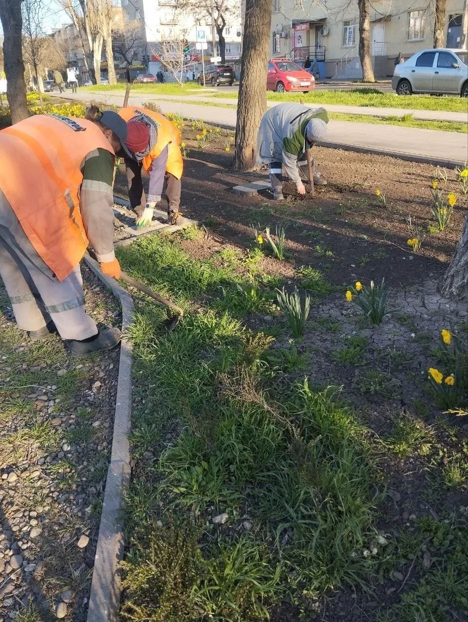 В Ильичёвском районе коммунальщики удаляют ранние сорняки