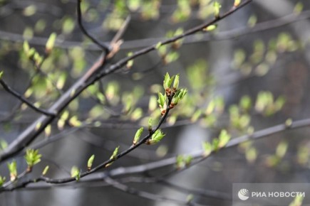 ������ �� ����� ����������� ������