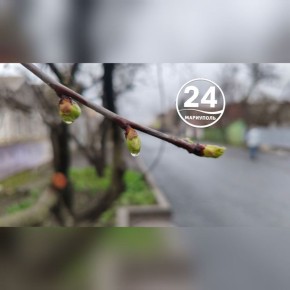 ��������� ����, ���������!