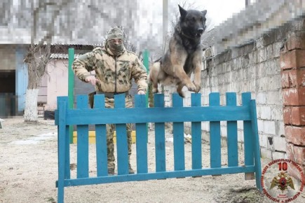 � ��� �������� ���������� �������������� ���������� ��������� �����