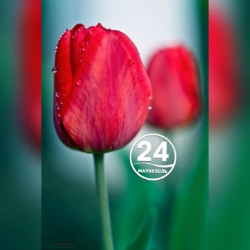 ���� �������� � ������ �����