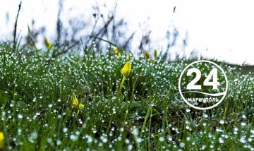 � ������ �����, ���������!