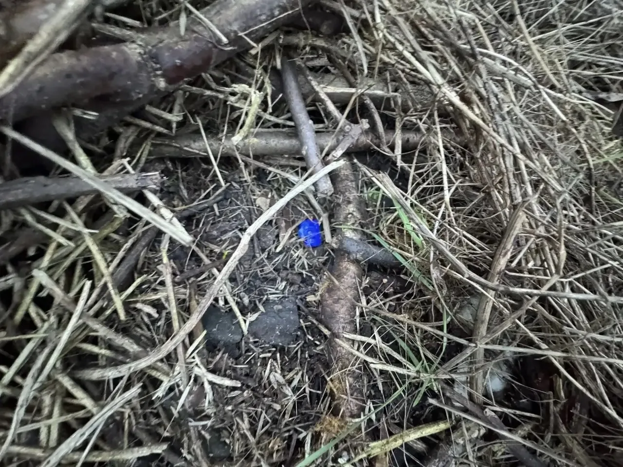 Стражи правопорядка изъяли наркотики у жителя Мариуполя Стражи правопорядка изъяли наркотики у жителя Мариуполя