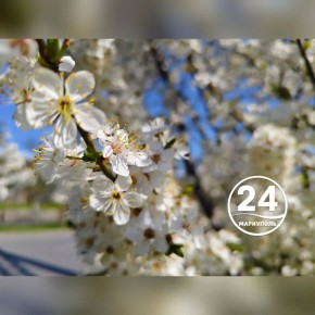 С добрым утром, Мариуполь!