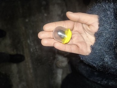 � ����������� ����������� �������� ���� ����������� �������� ����������