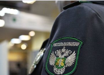 В рамках внеплановой проверки в отношении Автономной некоммерческой организации по сохранению и развитию животных «Парк дикой природы» Управление Россельхознадзора по ДНР и ЛНР в июле 2025 года выявило ряд нарушений...