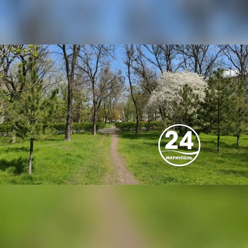 В Мариуполе - середина весны В Мариуполе - середина весны