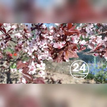 �������� �������� � ���������