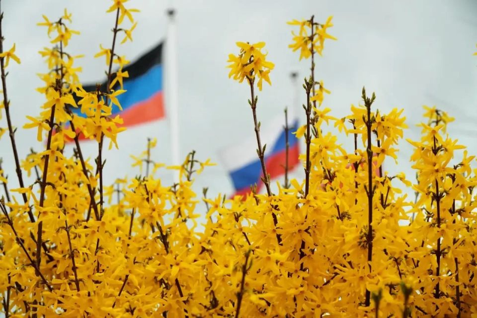 Раскрылись почки, распустились цветы: Весенние краски окутали Мариуполь Раскрылись почки, распустились цветы: Весенние краски окутали Мариуполь