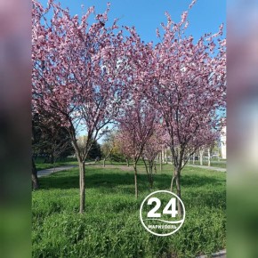 � ������ �����, ���������!