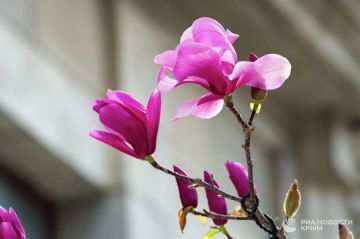 ������ �� ����� ����������� ������