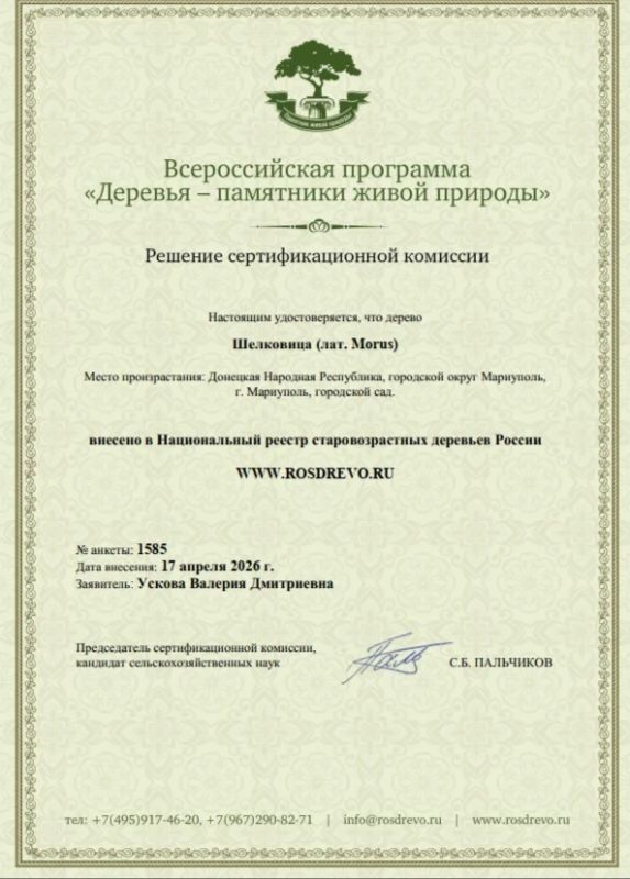 Мариупольские деревья-старожилы признаны национальным достоянием Мариупольские деревья-старожилы признаны национальным достоянием