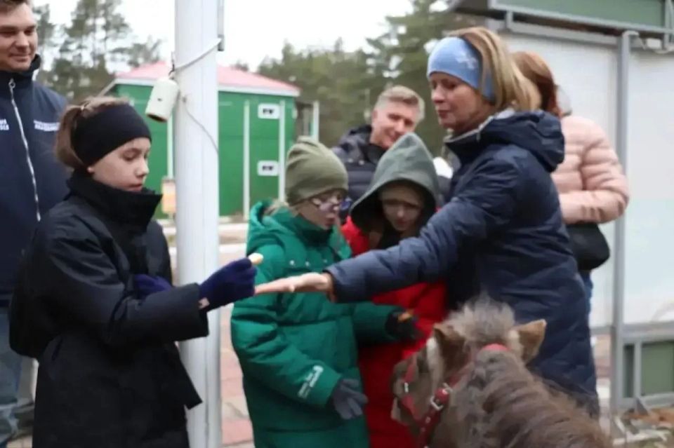 Лагерь «Дружных» готовится к приёму детей из Мариуполя Лагерь «Дружных» готовится к приёму детей из Мариуполя