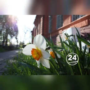 � ������ �����, ���������!