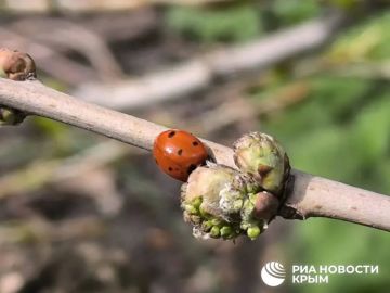 ������ �� ����� ����������� ������