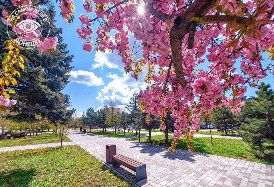 Очень красивая весна в Мариуполе Очень красивая весна в Мариуполе