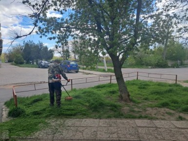 ������������� ������������� ��������� ����� �����������