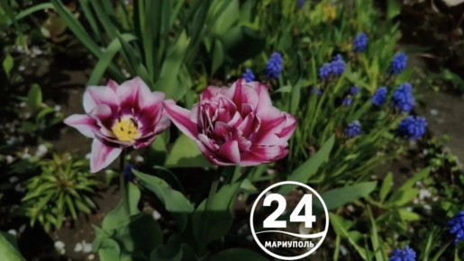 � ������ �����, ���������!