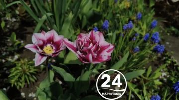 � ������ �����, ���������!