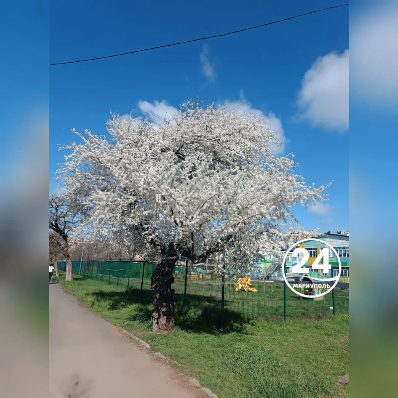 С добрым утром, Мариуполь!
