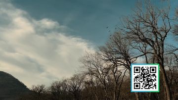 ��� ����� ����� ��������: �������� ������� ������� ��������������� ���