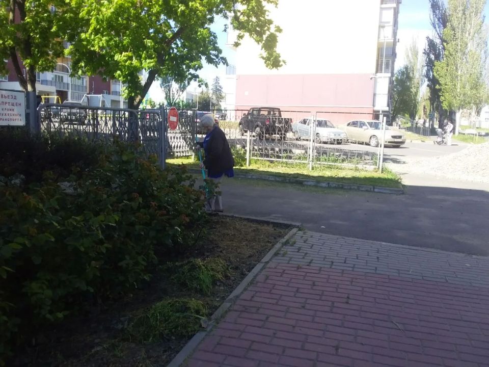 Чистота и порядок в преддверии Дня Победы: Управа Приморского района преобразилась! Чистота и порядок в преддверии Дня Победы: Управа Приморского района преобразилась!