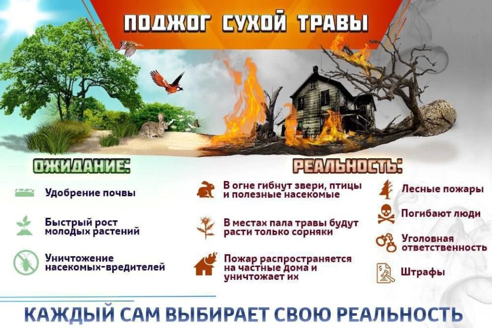 А что выберешь ты?. Весна – время, когда люди выжигают прошлогоднюю траву