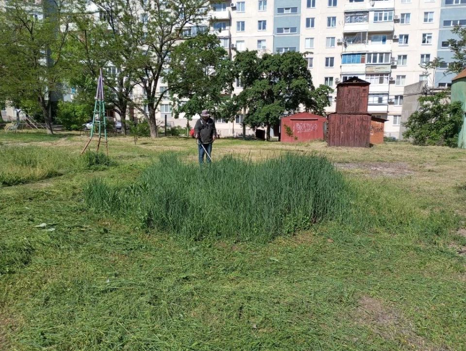 Покос травы активизировали и на придомовых территориях Покос травы активизировали и на придомовых территориях