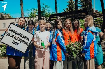 Символ благодарности и дружбы: в Мариуполе высадили “Аллею дружбы” к 323-летию Санкт-Петербурга