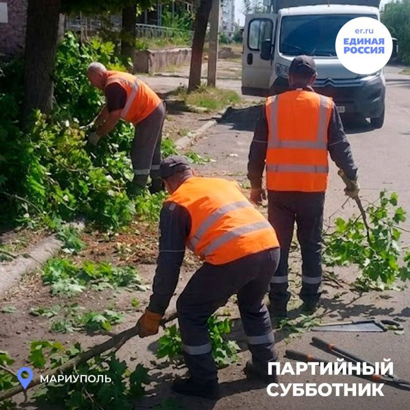 Ликвидируем последствия стихии: вместе навели порядок после шторма Ликвидируем последствия стихии: вместе навели порядок после шторма