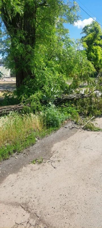 Рабочие зеленого строительства продолжают ликвидацию последствий шторма