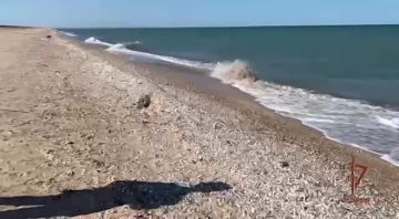 В зоне проведения СВО водолазы Росгвардии выполняют широкий спектр задач: обследуют мосты и понтонные переправы, проводят противодиверсионные осмотры акваторий, ищут схроны с оружием