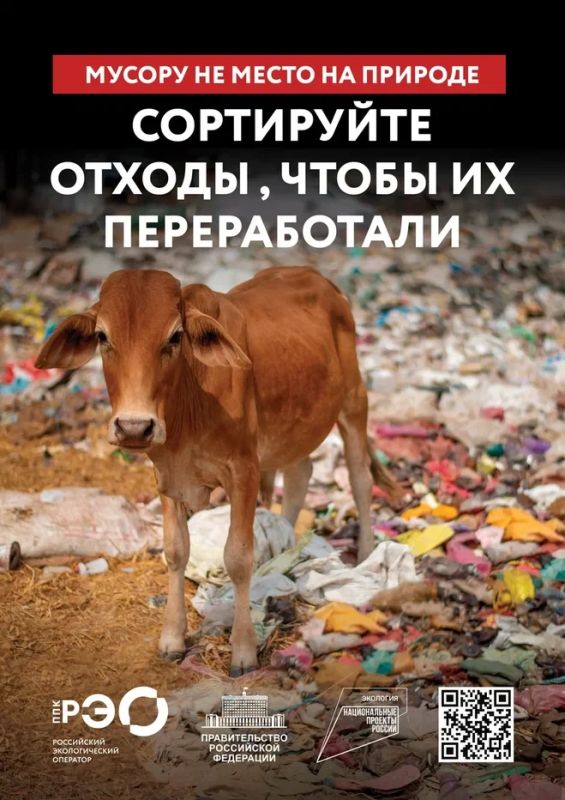 Республика переходит на раздельный сбор: первый шаг сделан Республика переходит на раздельный сбор: первый шаг сделан