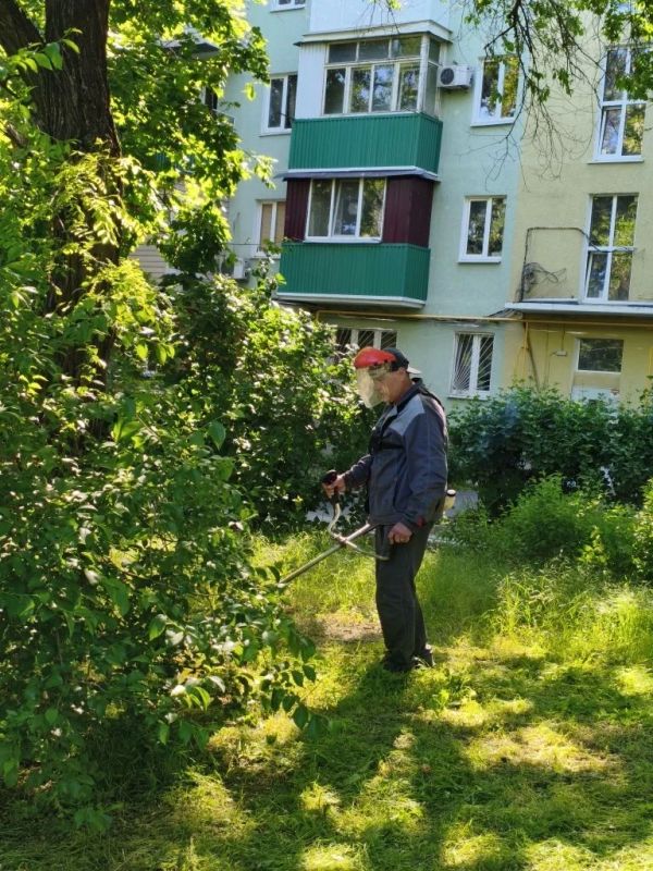 Коммунальщики навели порядок во дворах многоквартирных домов Коммунальщики навели порядок во дворах многоквартирных домов
