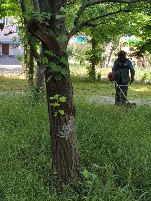 Коммунальщики навели порядок во дворах многоквартирных домов Коммунальщики навели порядок во дворах многоквартирных домов