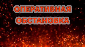 �� �������� ����� ���������� ������������ ��������� 12 ���� �� ����������� ������� ����������� �������