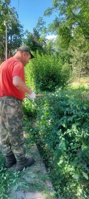 В Мариуполе коммунальщики облагораживают кустарники В Мариуполе коммунальщики облагораживают кустарники