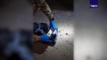 �� ����� ����� � ������: ��� ��������� ����������� � ������ ���� � ���������